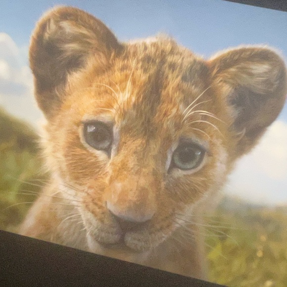 Meet your Posher, Ella - Picture 1 of 1